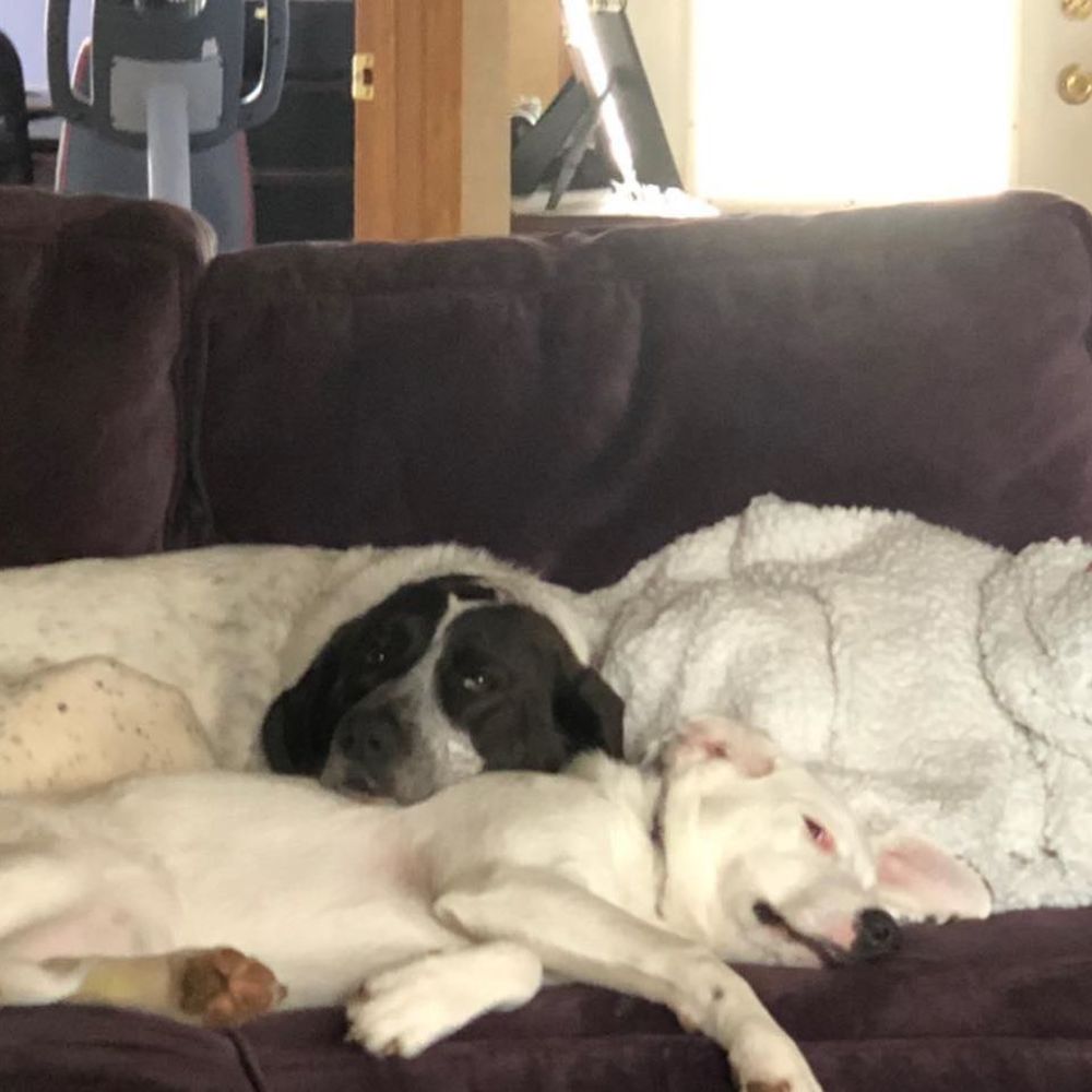 Meet your Posher, Ann